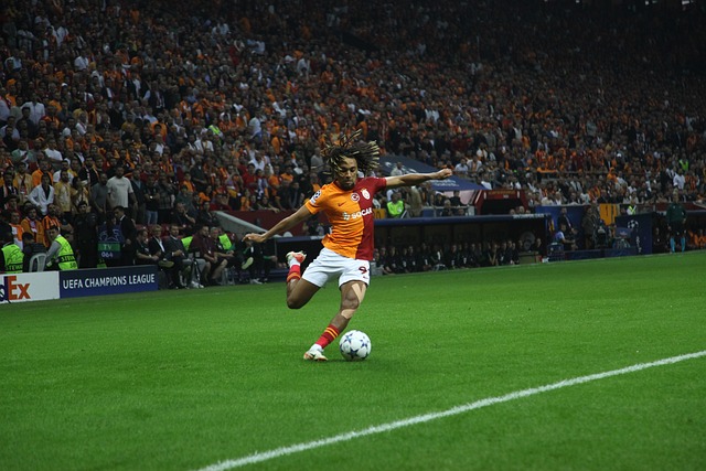 贵的信心 贵的信心