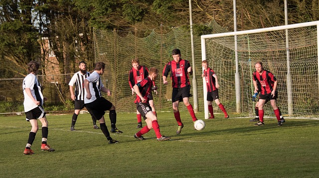 欧洲顶级联 欧洲顶级联