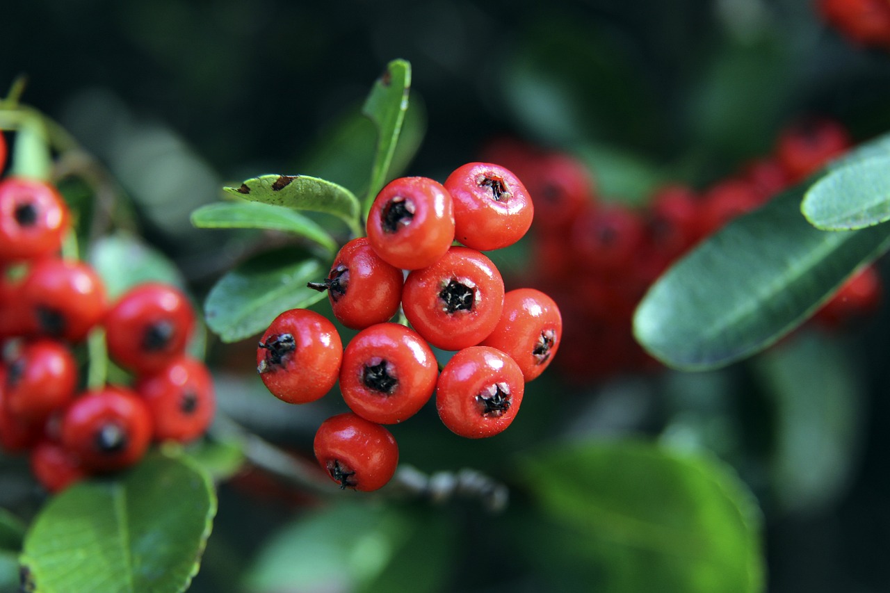 这种老将与 这种老将与