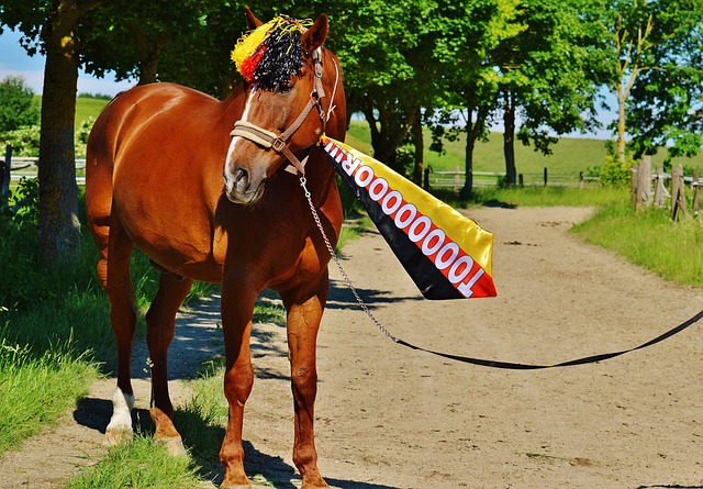 这一创新合 这一创新合