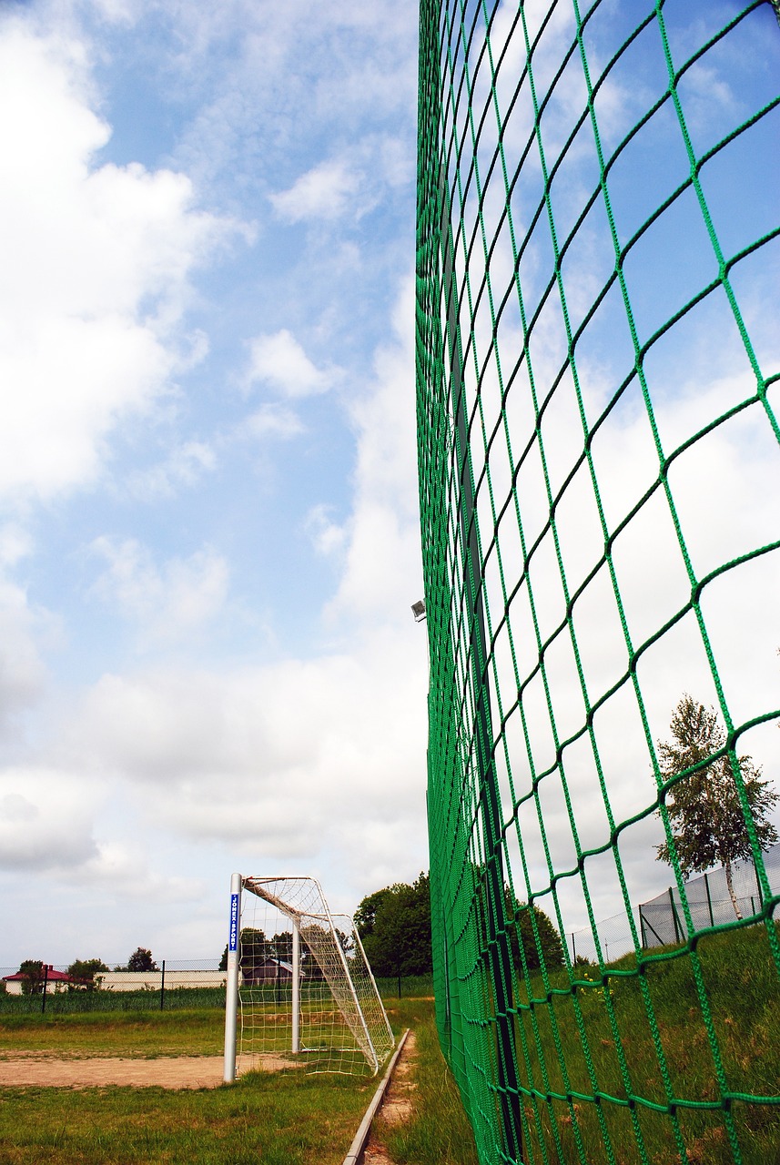 协同实施 协同实施