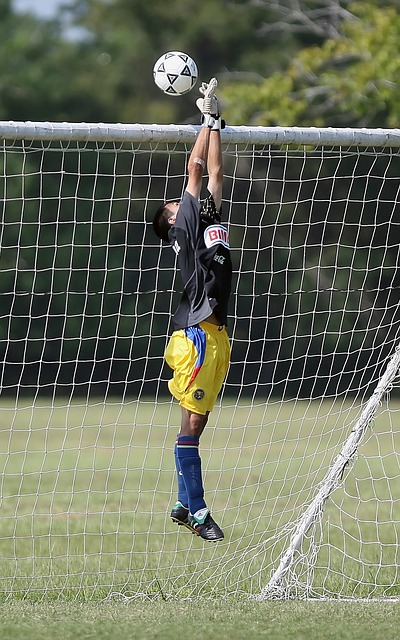 6000萬歐轉會費打破波爾圖隊史紀錄!利雅得勝利官宣簽下奧塔維奧!.