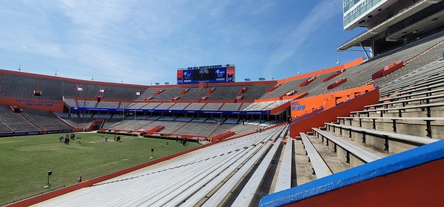 联赛所有权 联赛所有权