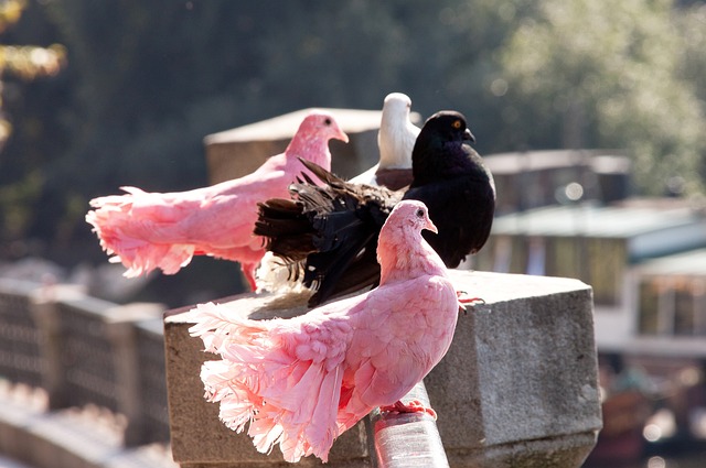 定不移的信 定不移的信