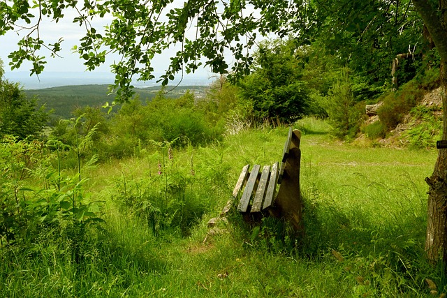 锁定胜局 锁定胜局