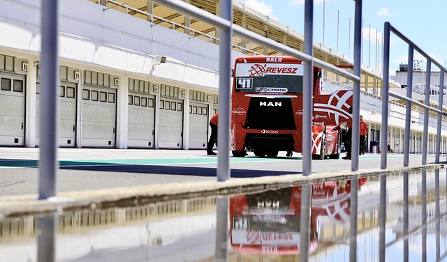 尤为引人关 尤为引人关