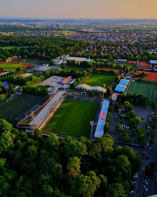 怀激情的大 怀激情的大