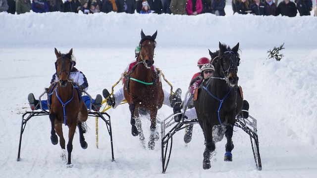 无论是球员 无论是球员