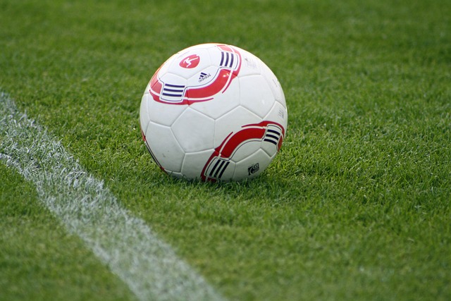 共同维护稳 共同维护稳