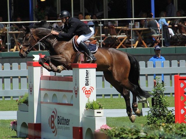 NBA顶级三人组,场均狂砍72分!西部黑马被低估,你们有机会冲冠了.