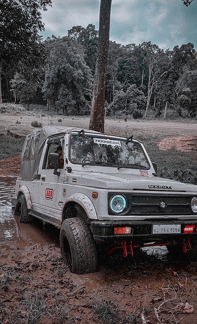 提升战绩的 提升战绩的