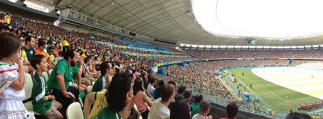冠军奖杯 冠军奖杯